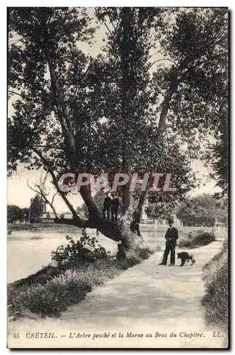 Ansichtskarte AK Arbre Creteil l&#39arbre penche et la Marne au bras du Chapitre