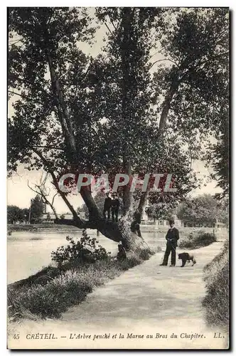 Cartes postales Arbre Creteil l&#39arbre penche et la Marne au bras du Chapitre