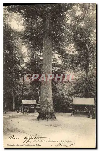 Ansichtskarte AK Arbre Foret de Fontainebleau Le Jupiter