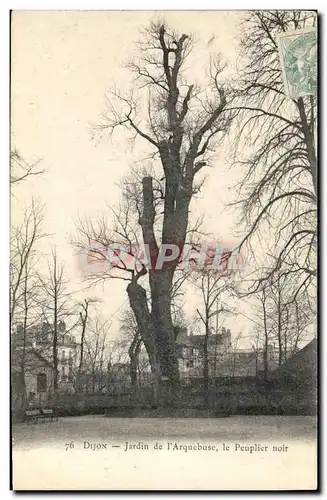 Cartes postales Arbre Dijon Jardin de l&#39Arquebuse Le Peuplier noir