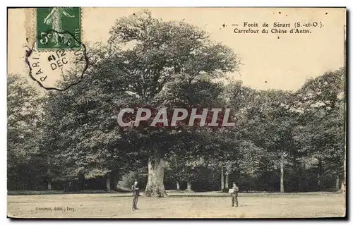 Cartes postales Arbre Foret de Senart Carrefour du chene d&#39Antin