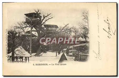 Cartes postales Arbre Robinson Le vrai arbre