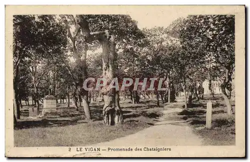 Cartes postales Arbre Vigan Promenade des Chataigniers