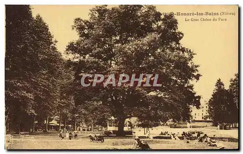 Cartes postales Arbre St Honore les Bains Le gros chene du parc