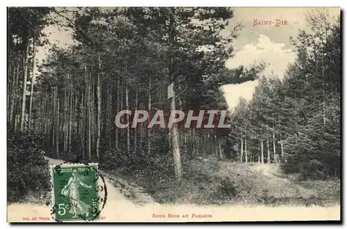 Cartes postales Arbre Sous bois au paradis Saint Die