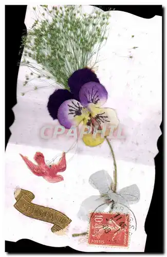 Cartes postales Fantaisie Fleurs