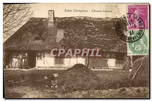 Cartes postales Folklore Scenes champetres Chaume Bressan