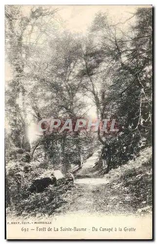 Ansichtskarte AK Arbre Foret de la Sainte Baume Du Canape a la grotte