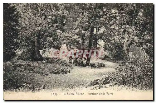 Ansichtskarte AK Arbre La Sainte Baume Interieur de la foret