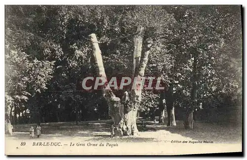 Ansichtskarte AK Arbre Bar le Duc La gros Orme du paquis