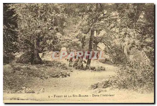 Ansichtskarte AK Arbre Foret de la Sainte Baume Dans l&#39interieur