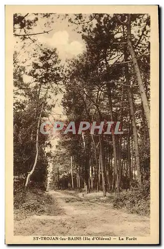 Ansichtskarte AK Arbre St Trojan les Bains Ile d&#39Oleron La foret