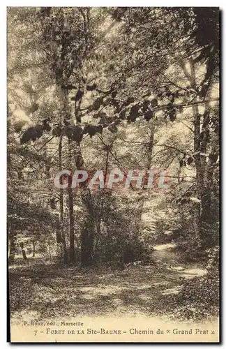 Cartes postales Arbre Foret de la Sainte Baume Chemin du Grand Prat