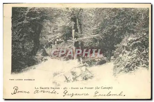 Ansichtskarte AK Arbre La Sainte Baume Dans la foret Le canape