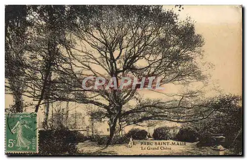 Cartes postales Arbre Parc Saint Maur Le grand Chene