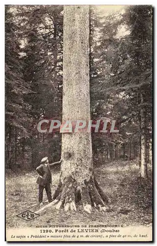 Cartes postales Arbre Foret de Levier Doubs Le sapin President