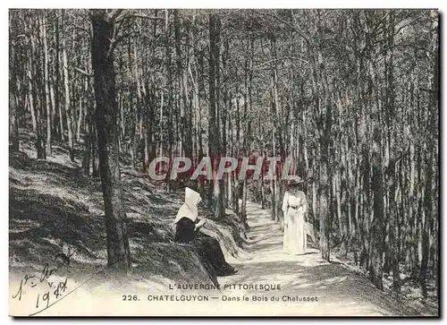 Cartes postales Arbre Chatelguyon Dans le bois du Chalusset