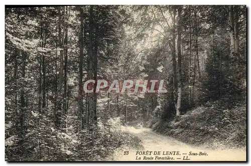 Cartes postales Arbre Foret de Lente Sous bois La route forestiere