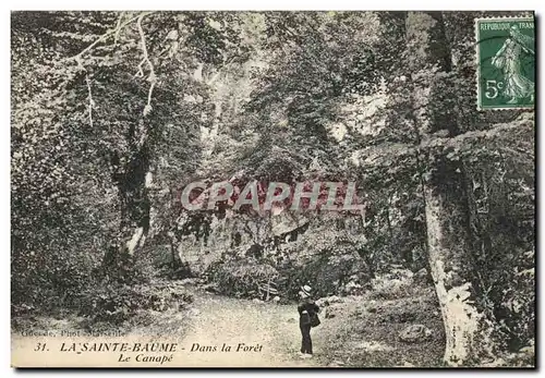 Ansichtskarte AK Arbre La Sainte Baume Dans la foret Le canape