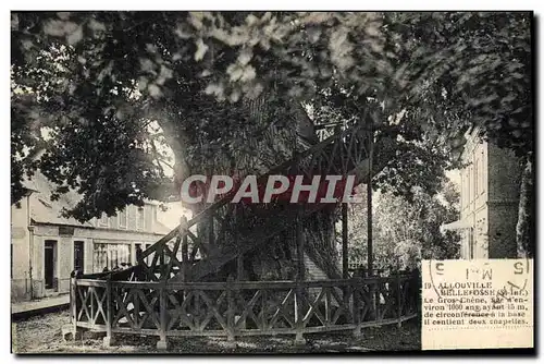 Cartes postales Arbre Allouville Bellefosse Le gros chene