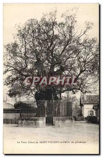 Ansichtskarte AK Arbre Le vieux chene de Saint Vincent de Paul au printemps