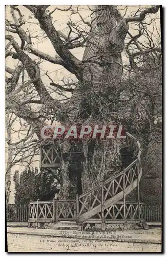 Cartes postales Arbre Environs d&#39Yvetot Le chene chapelle de Allouville Bellefosse
