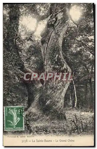 Ansichtskarte AK Arbre La Sainte Baume Le grand chene