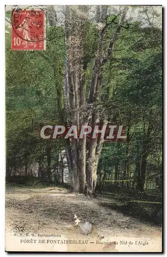 Cartes postales Arbre Foret de Fontainebleau Bouquet du nid de l&#39aigle