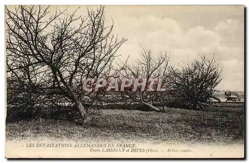 Cartes postales Arbre Entre Lassigny et Dives Arbres coupes Militaria