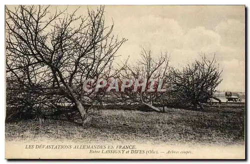 Cartes postales Arbre Entre Lassigny et Dives Arbres coupes Militaria