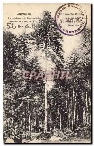 Cartes postales Arbre France Comte Le President