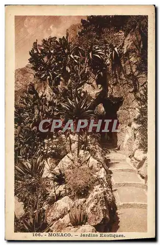 Cartes postales Monaco Jardins exotiques