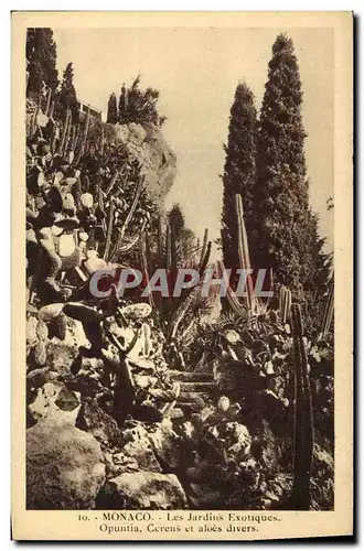 Cartes postales Monaco Jardins exotiques Opuntia Cereus et aloes divers