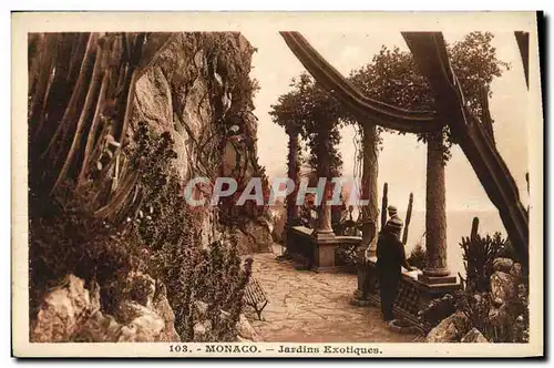 Cartes postales Monaco Jardins exotiques