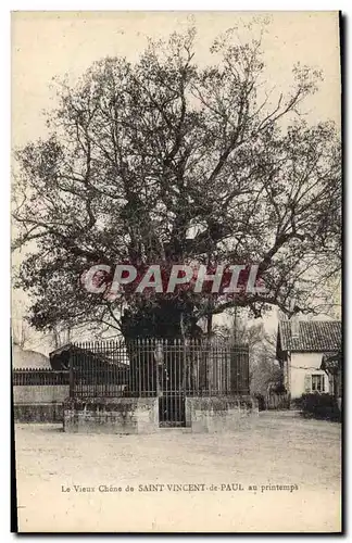 Ansichtskarte AK Arbre Le vieux chene de Saint Vincent de Paul au printemps