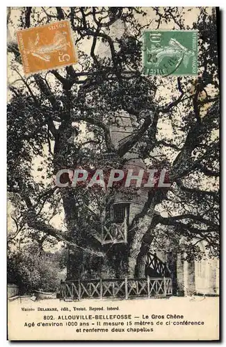 Cartes postales Arbre Allouville Bellefosse le gros chene
