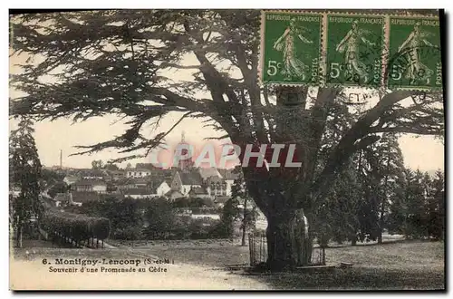 Cartes postales Arbre Montigny Leloup Souvenir d&#39une promenade au cedre