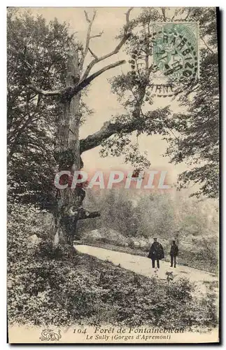 Ansichtskarte AK Arbre Foret de Fontainebleau Le Sully Gorges d&#39Apremont