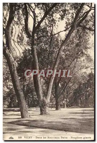 Cartes postales Arbre Vichy Dans les nouveaux parcs Peupliers geants