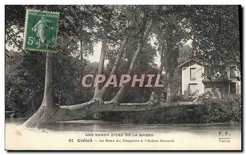 Ansichtskarte AK Arbre Creteil Le bras du chapitre a l&#39arbre Penche