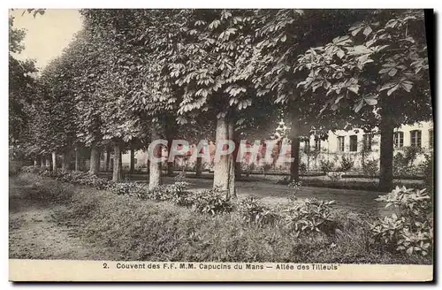 Cartes postales Arbre Couvent des FF MM Capucins du Mans Allee des Tilleuls