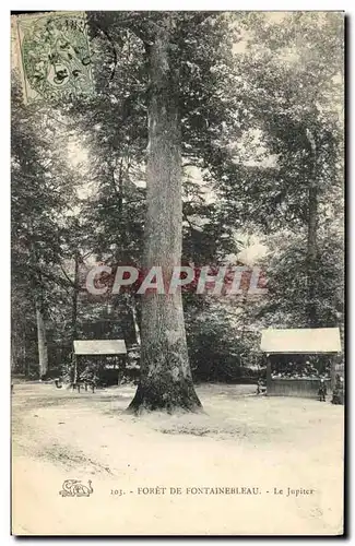 Ansichtskarte AK Arbre Foret de Fontainebleau Le Jupiter