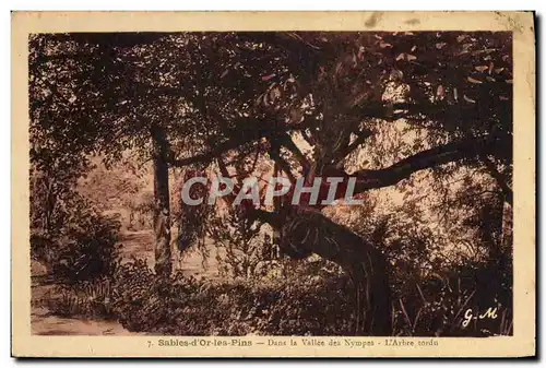Cartes postales Arbre Sables d&#39Or les Pins Dans la vallee des Nymphes L&#39arbre tordu