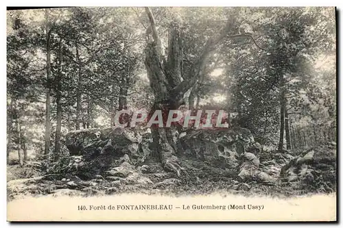 Cartes postales Arbre Foret de Fontainebleau Le Gutemberg Mont Ussy