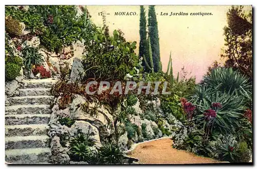 Cartes postales Monaco Les jardins exotiques