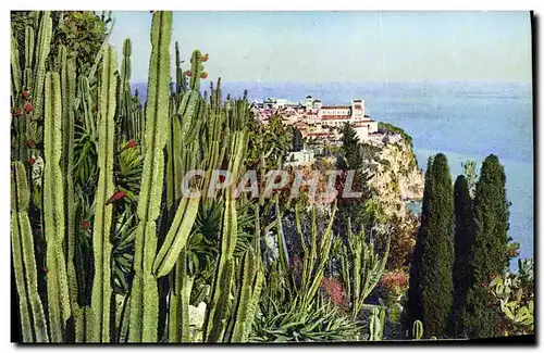 Cartes postales Jardin exotique de Monaco Vue sur le rocher de Monaco Cereus Aloes et opuntia divers