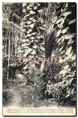 Cartes postales Jardin tropical a St Joseph&#39s College Trichy