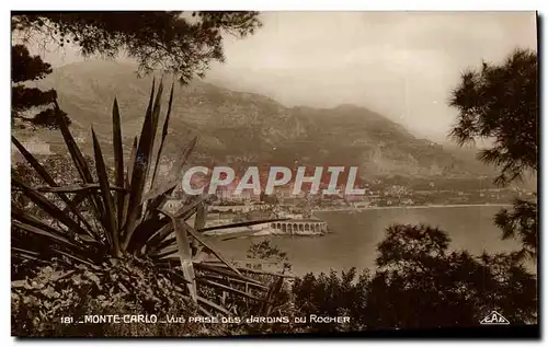 Cartes postales Monaco Vue prise des jardins du Rocher Cactus