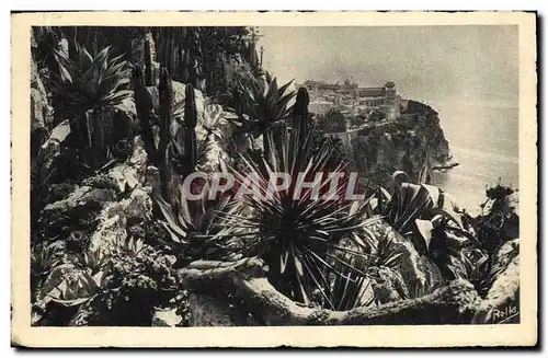 Cartes postales Monte Carlo Les jardins exotiques et le rocher de Monaco