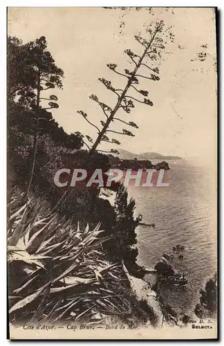 Cartes postales Cap Brun Bord de mer